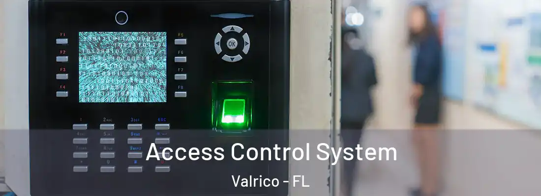  Access Control System Valrico - FL