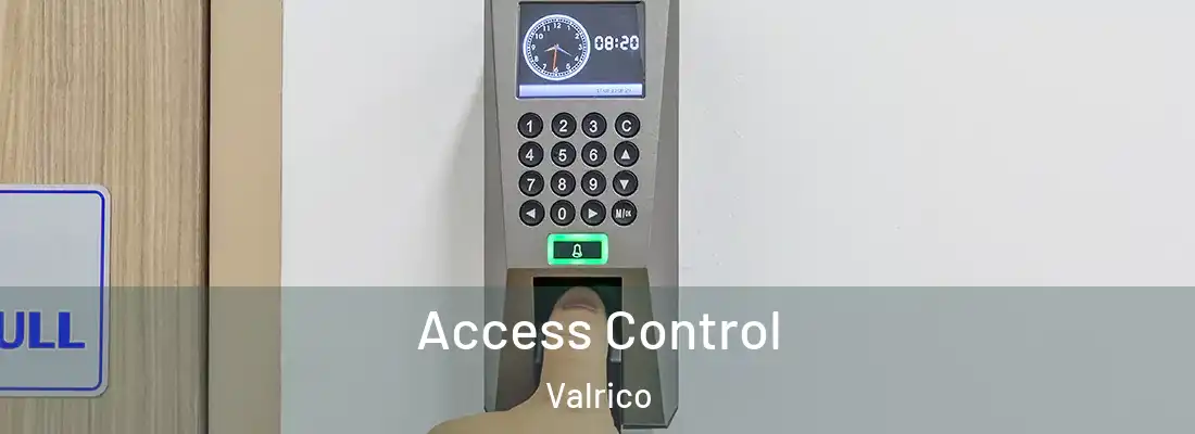 Access Control Valrico