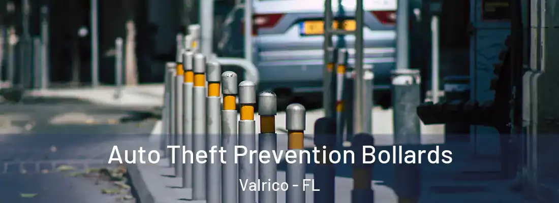  Auto Theft Prevention Bollards Valrico - FL