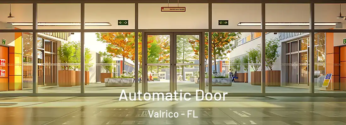 Automatic Door Valrico - FL