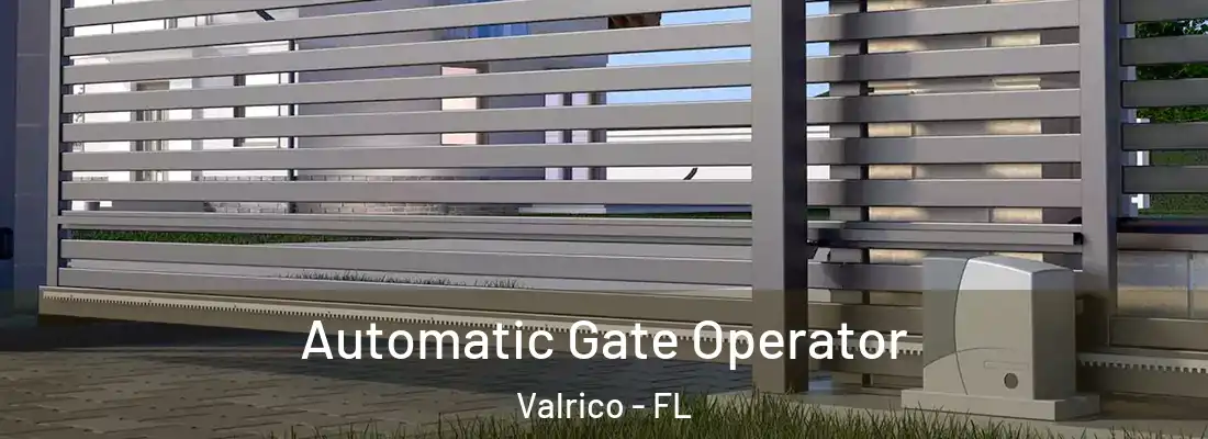 Automatic Gate Operator Valrico - FL