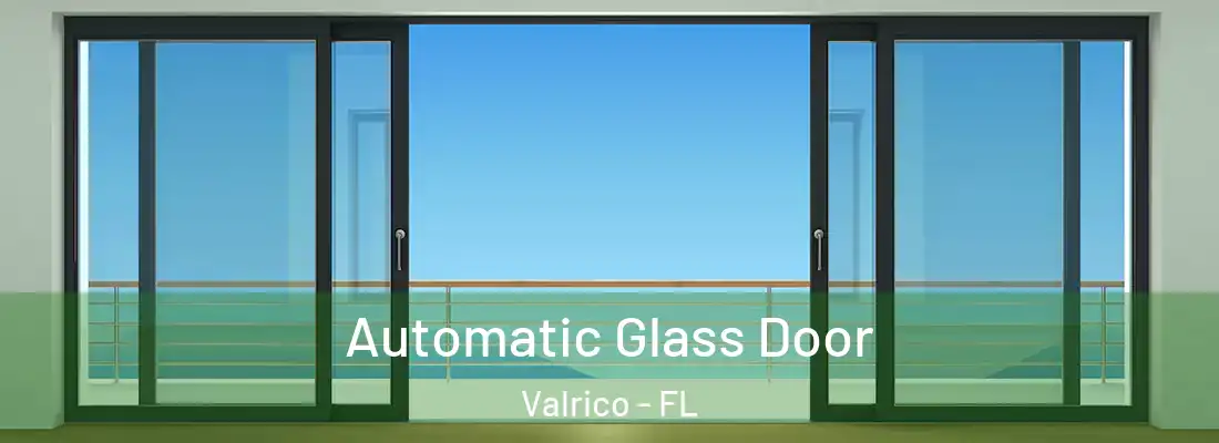 Automatic Glass Door Valrico - FL