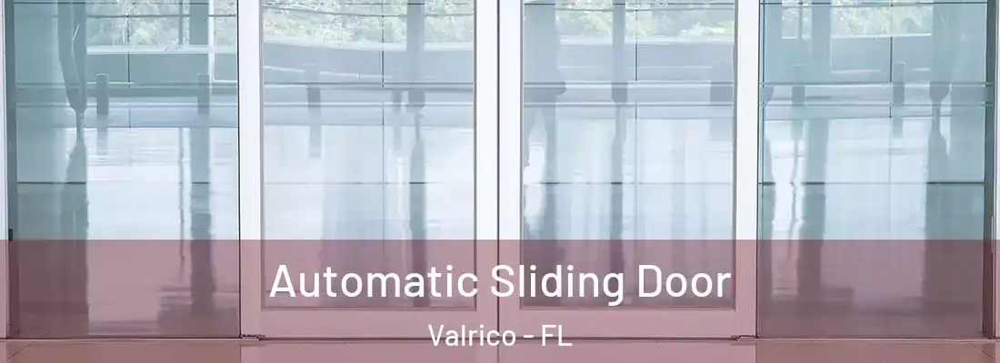 Automatic Sliding Door Valrico - FL