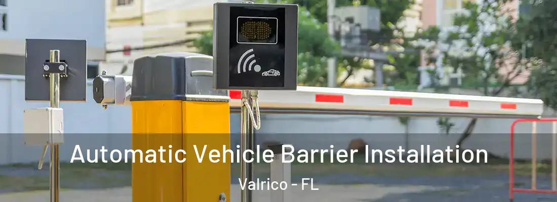 Automatic Vehicle Barrier Installation Valrico - FL