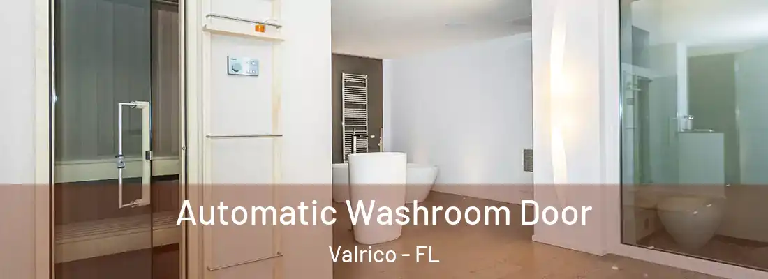 Automatic Washroom Door Valrico - FL