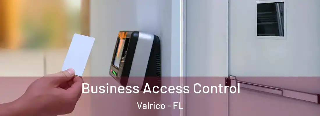 Business Access Control Valrico - FL