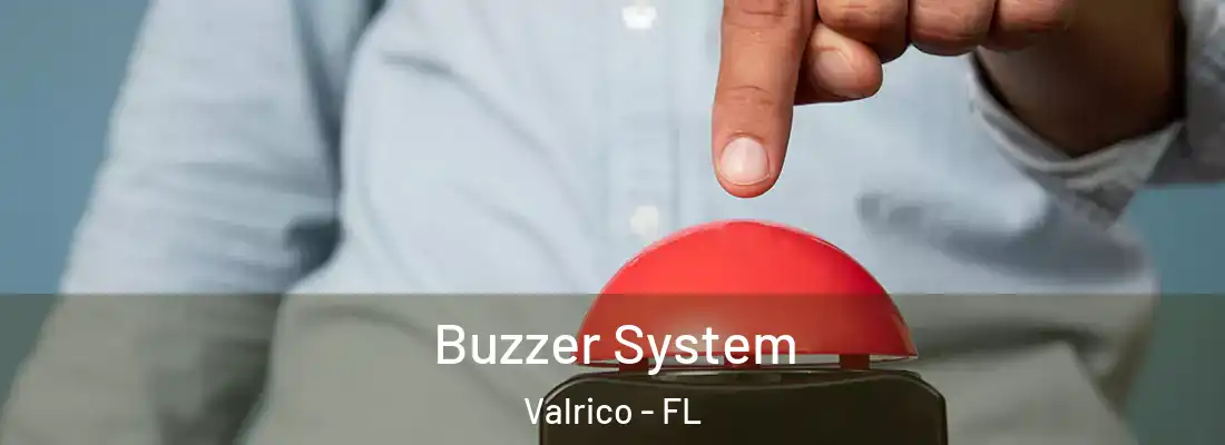 Buzzer System Valrico - FL