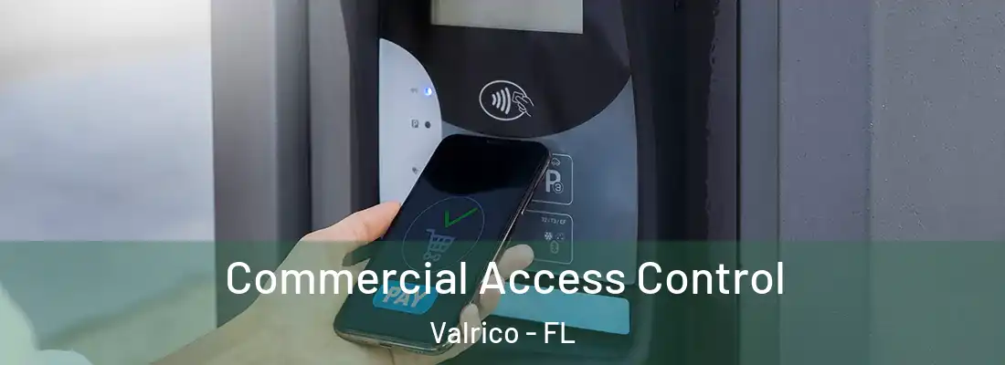 Commercial Access Control Valrico - FL