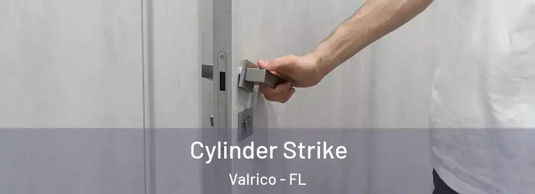  Cylinder Strike Valrico - FL