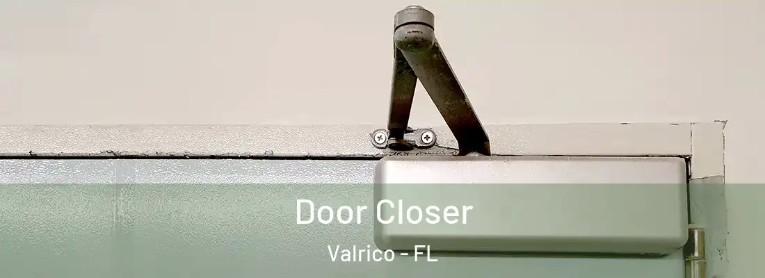  Door Closer Valrico - FL