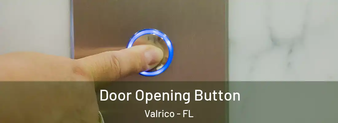 Door Opening Button Valrico - FL