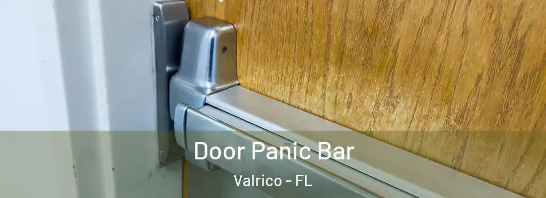 Door Panic Bar Valrico - FL