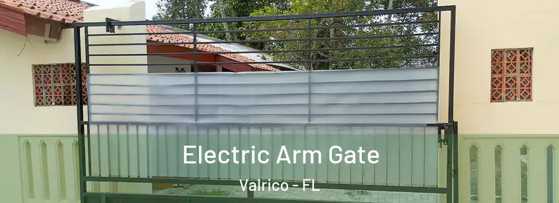 Electric Arm Gate Valrico - FL