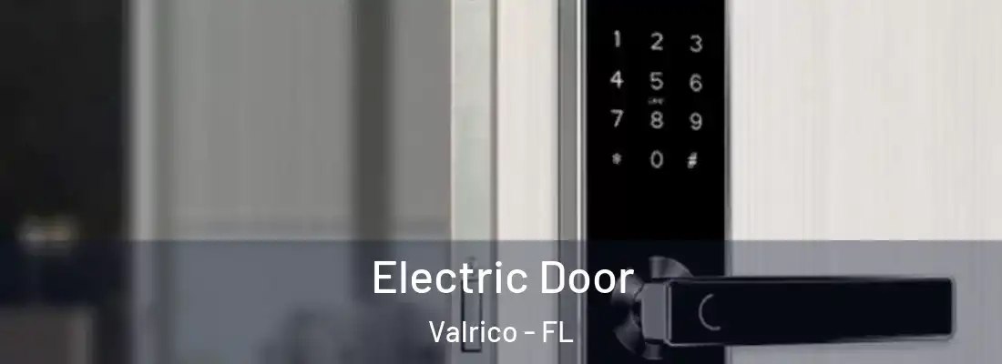  Electric Door Valrico - FL