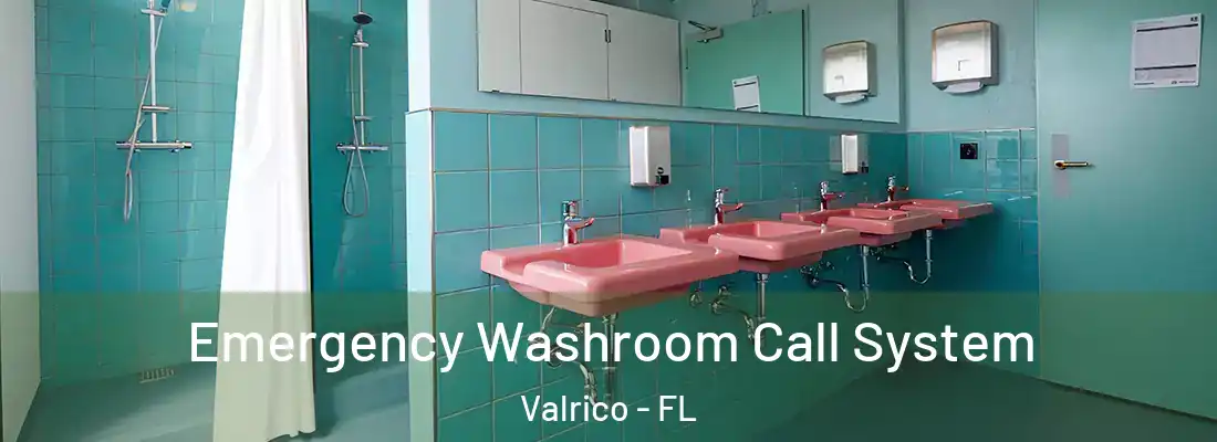 Emergency Washroom Call System Valrico - FL