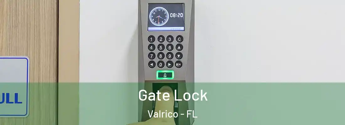 Gate Lock Valrico - FL