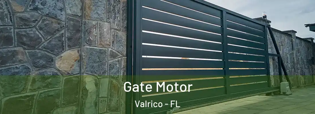  Gate Motor Valrico - FL