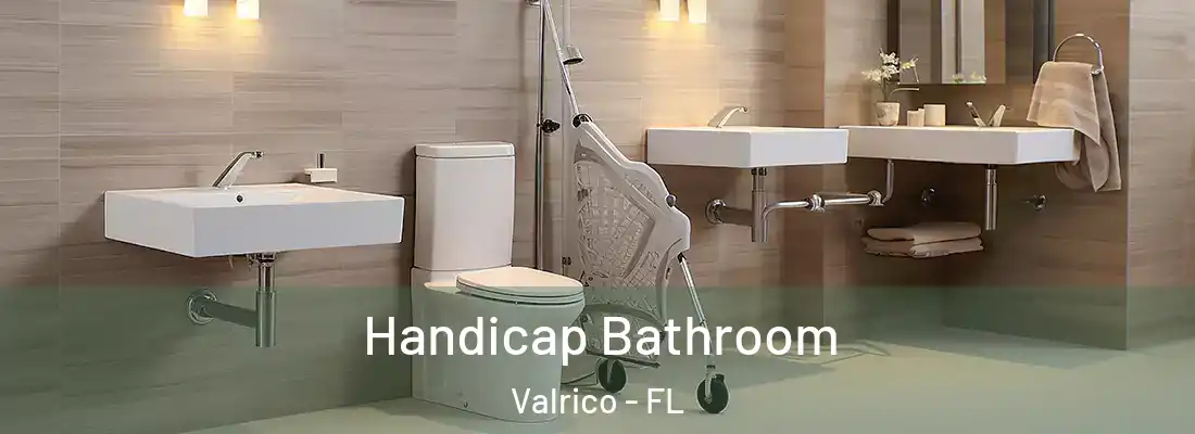  Handicap Bathroom Valrico - FL
