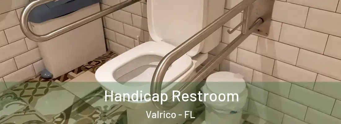 Handicap Restroom Valrico - FL