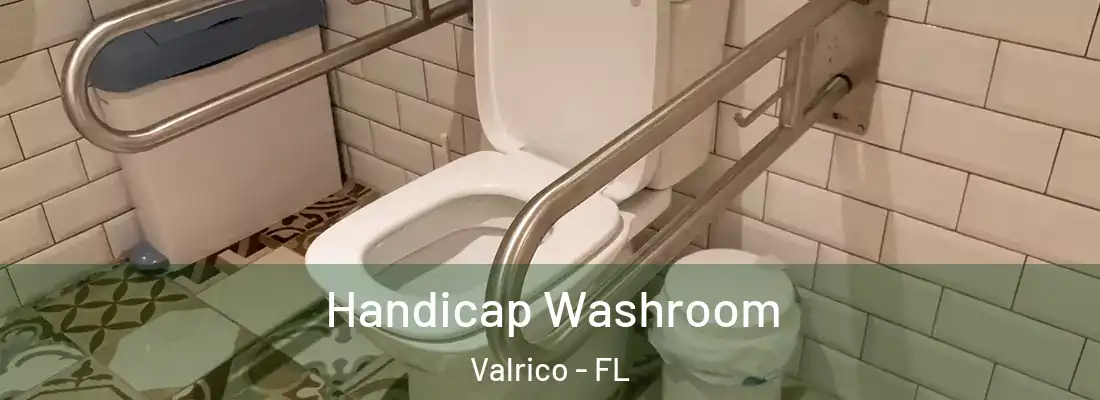  Handicap Washroom Valrico - FL