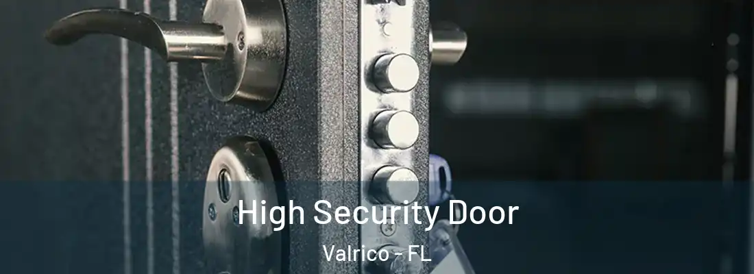  High Security Door Valrico - FL