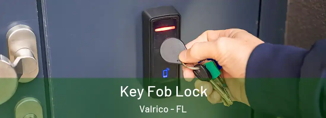  Key Fob Lock Valrico - FL