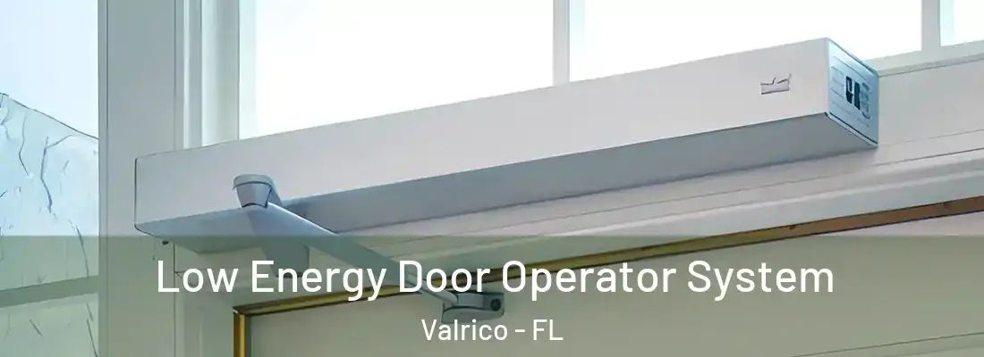Low Energy Door Operator System Valrico - FL