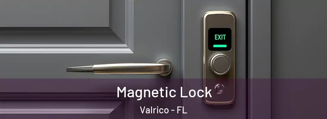 Magnetic Lock Valrico - FL