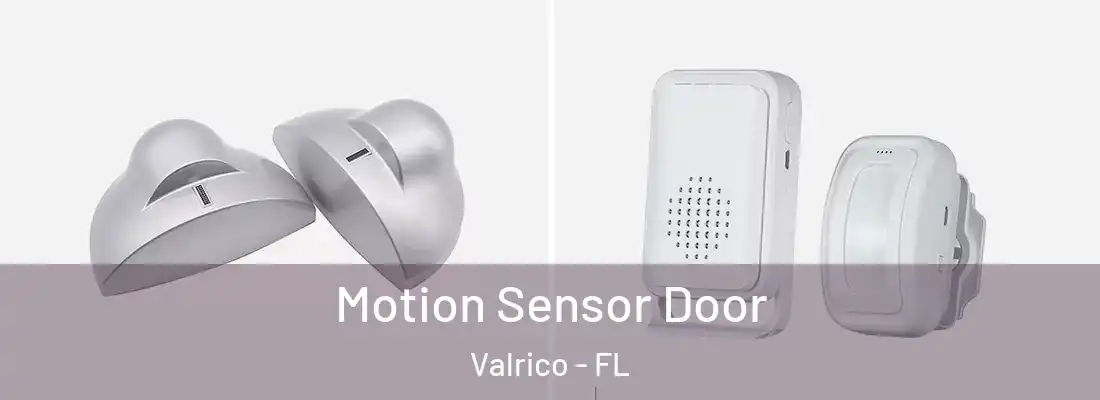 Motion Sensor Door Valrico - FL