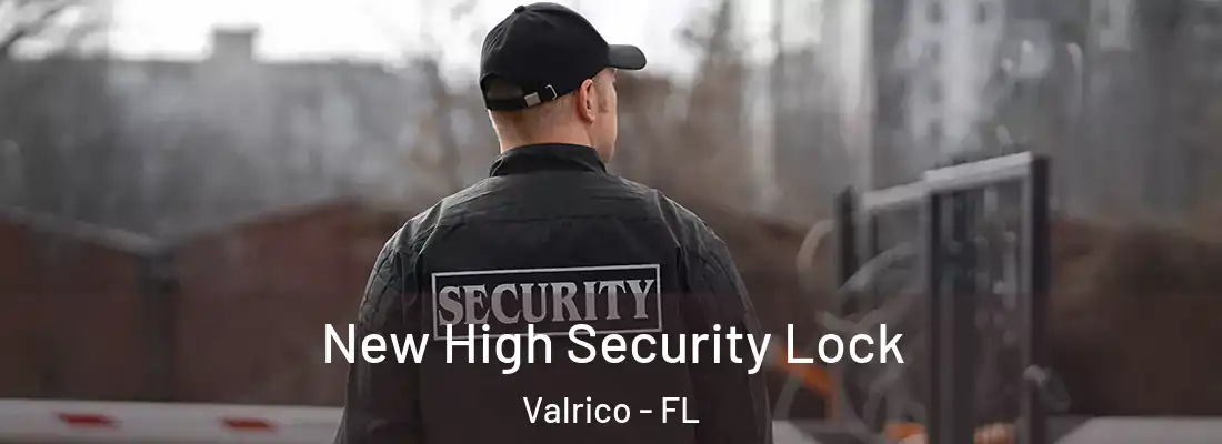 New High Security Lock Valrico - FL