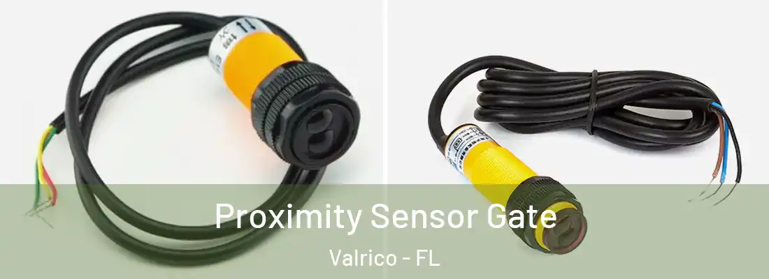 Proximity Sensor Gate Valrico - FL