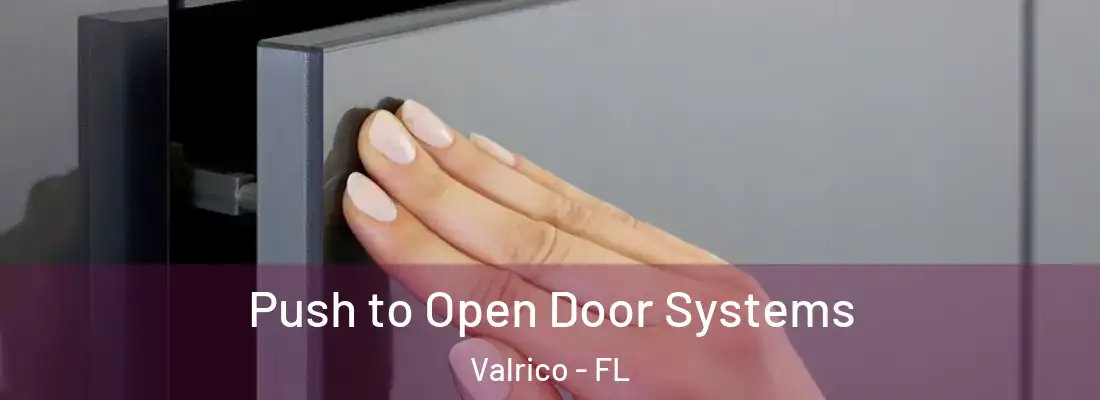 Push to Open Door Systems Valrico - FL
