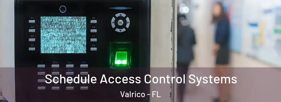 Schedule Access Control Systems Valrico - FL