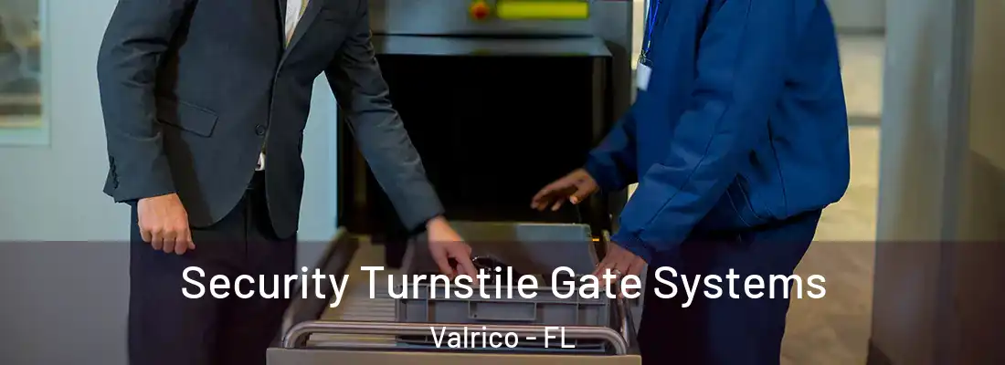 Security Turnstile Gate Systems Valrico - FL