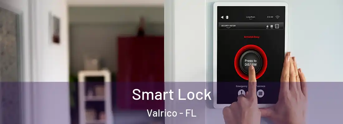 Smart Lock Valrico - FL