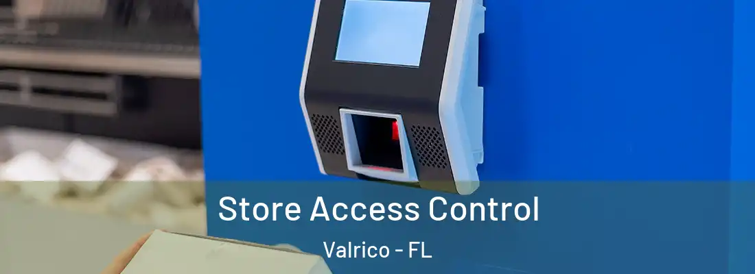 Store Access Control Valrico - FL