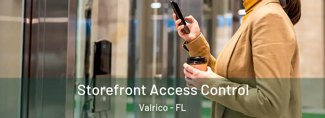 Storefront Access Control Valrico - FL