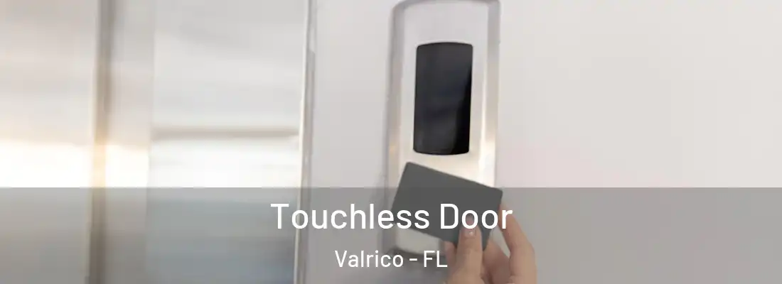 Touchless Door Valrico - FL