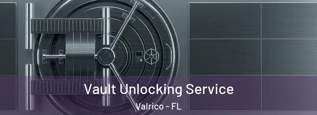 Vault Unlocking Service Valrico - FL