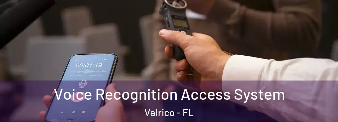  Voice Recognition Access System Valrico - FL